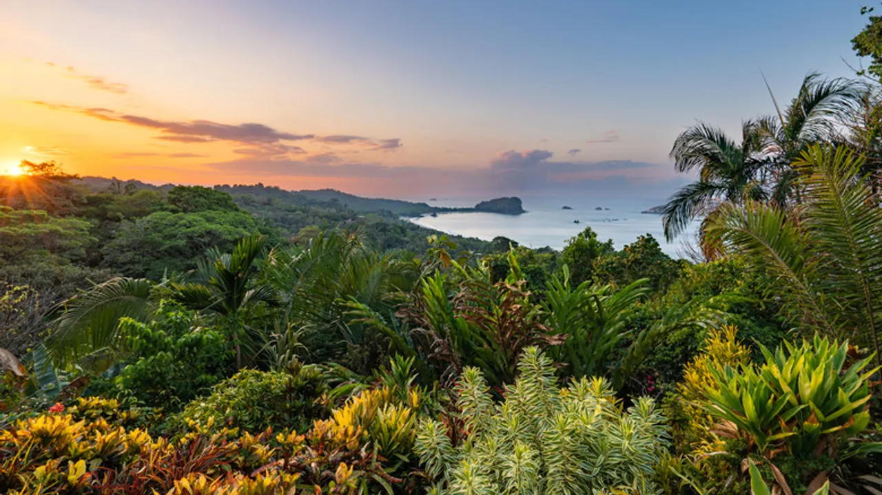 Palmar Sur, Costa Rica: La Joya Escondida para una Exploración de Biodiversidad Inolvidable