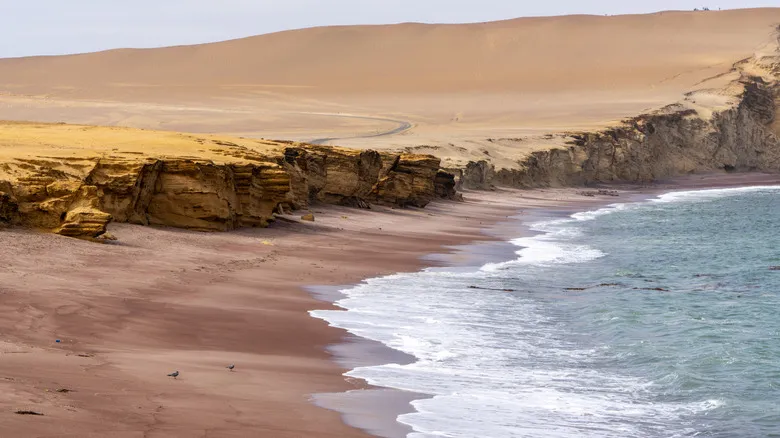 Paracas, Perú: Guía Definitiva para Explorar la Costa y el Desierto Sudamericano