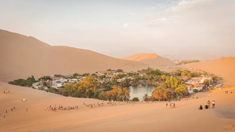 Paracas, Perú: Guía Definitiva para Explorar la Costa y el Desierto Sudamericano