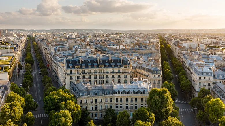 París: El Inesperado Epicentro de los Rolls de Langosta Más Exquisitos del Mundo