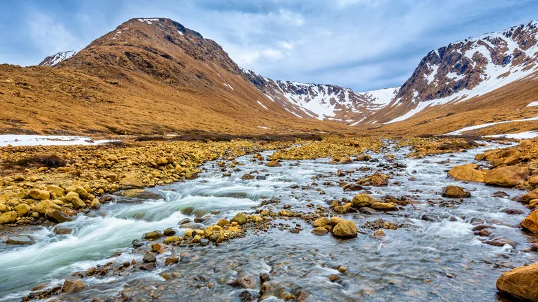 Parque Nacional Gros Morne: Joya Geológica y Santuario Natural de Canadá