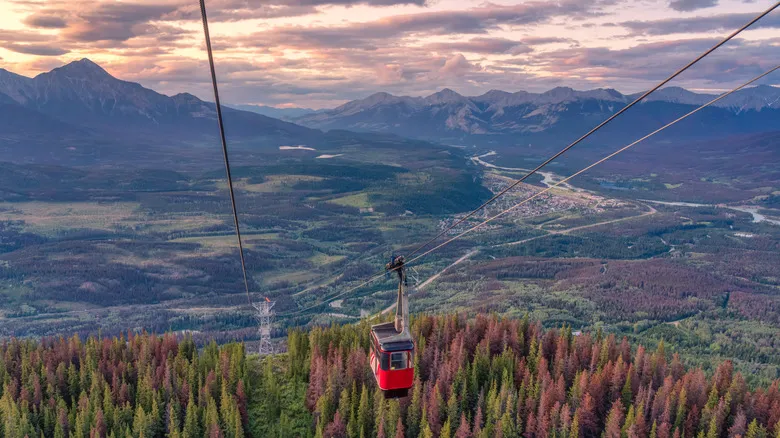 Parque Nacional Jasper: Guía Definitiva para Explorar las Majestuosas Rocosas Canadienses