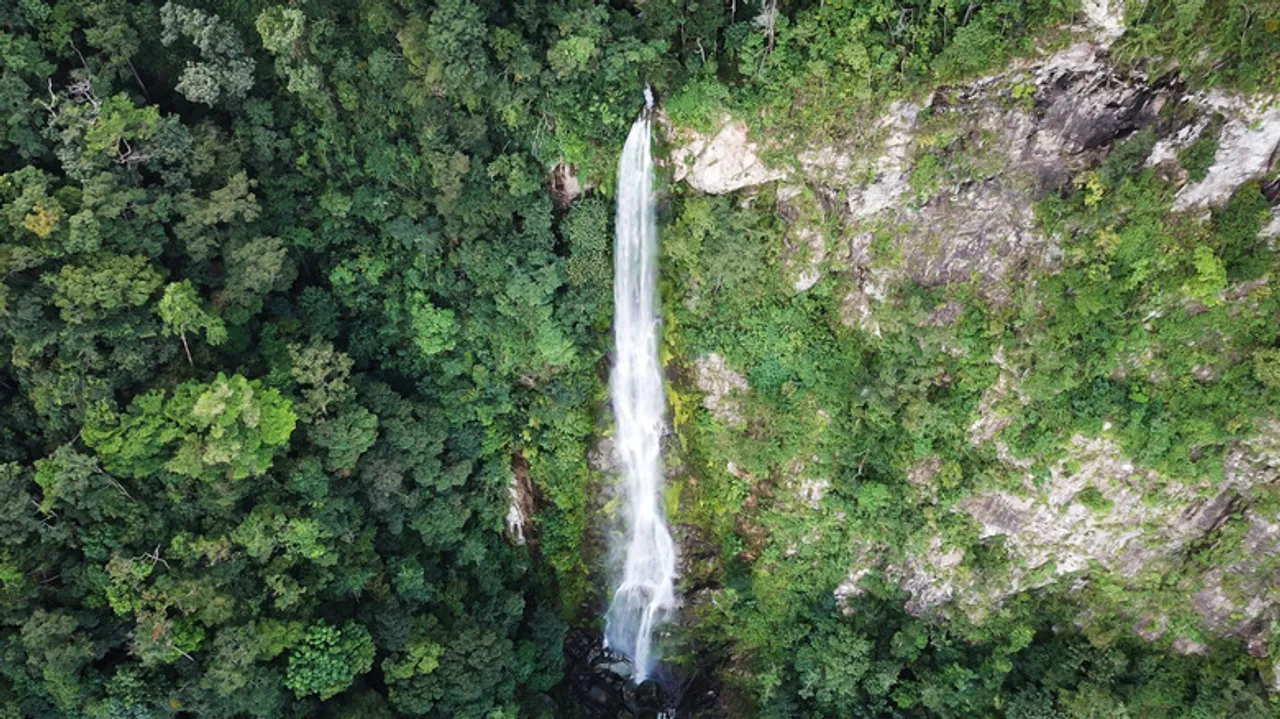 Parque Nacional Pico Bonito: Aventura y Biodiversidad en el Corazón de Honduras