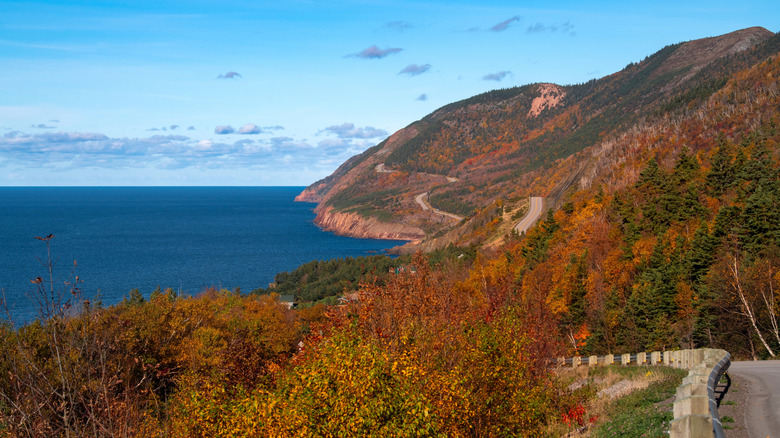 Parque Nacional Tierras Altas de Cape Breton: Guía Definitiva para Explorar la Naturaleza de Nueva Escocia