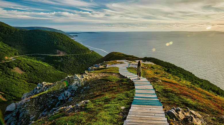 Parque Nacional Tierras Altas de Cape Breton: Guía Definitiva para Explorar la Naturaleza de Nueva Escocia