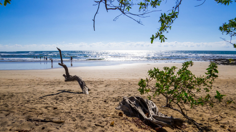 Playa Avellanas: Tu Paraíso Escondido para Surf y Tranquilidad en Costa Rica