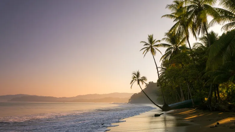 Playa Avellanas: Tu Paraíso Escondido para Surf y Tranquilidad en Costa Rica