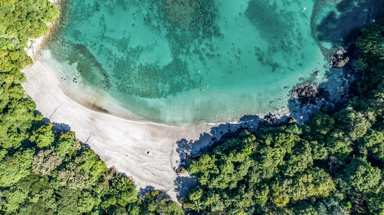 Playa Biesanz, Costa Rica: El Paraíso Escondido para una Experiencia Natural Inolvidable