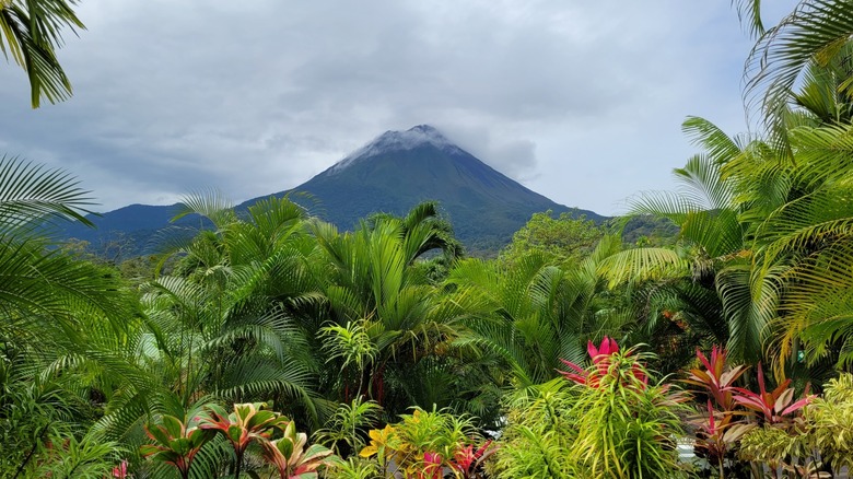 Playa Chiquita, Costa Rica: Un Paraíso Caribeño Escondido y Sin Igual