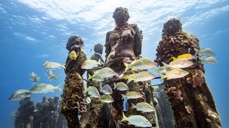 Playa Delfines: Descubre el Paraíso Sereno y las Joyas Ocultas de Cancún Más Allá de la Fiesta