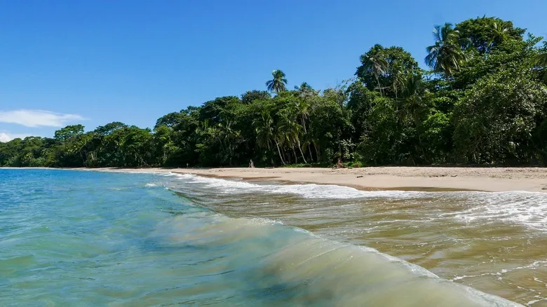 Playas Secretas de Costa Rica: Escapadas Paradisiacas Lejos del Bullicio Turístico