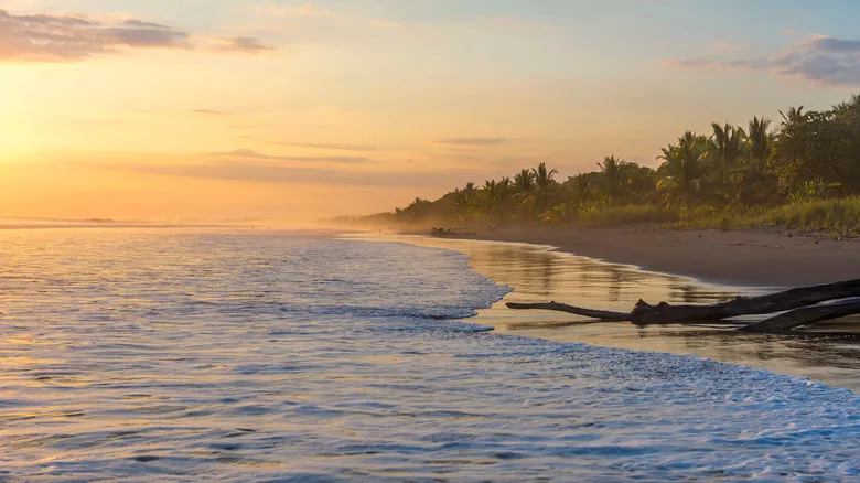 Playas Secretas de Costa Rica: Escapadas Paradisiacas Lejos del Bullicio Turístico