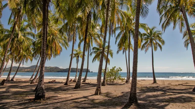 Playas Secretas de Costa Rica: Escapadas Paradisiacas Lejos del Bullicio Turístico