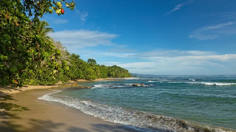 Playas Secretas de Costa Rica: Escapadas Paradisiacas Lejos del Bullicio Turístico