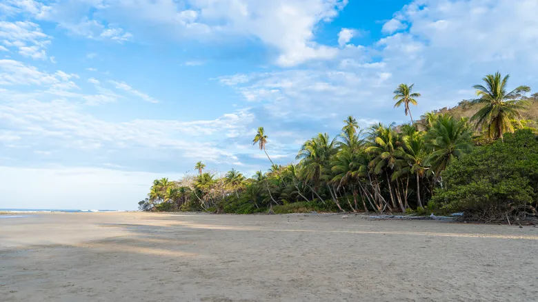 Playas Secretas de Costa Rica: Escapadas Paradisiacas Lejos del Bullicio Turístico