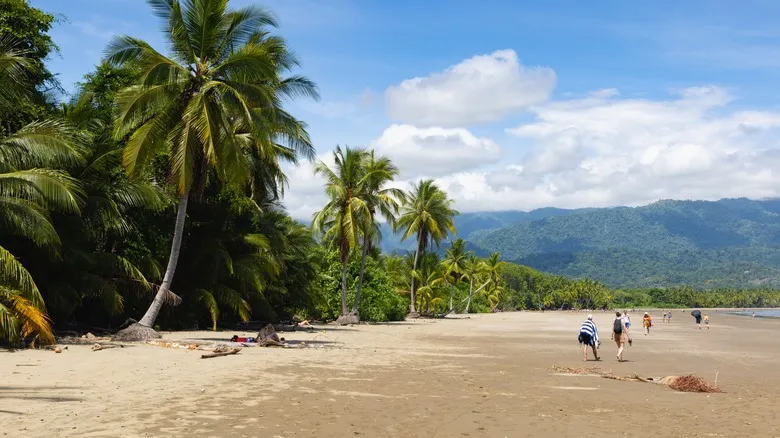 Playas Secretas de Costa Rica: Escapadas Paradisiacas Lejos del Bullicio Turístico
