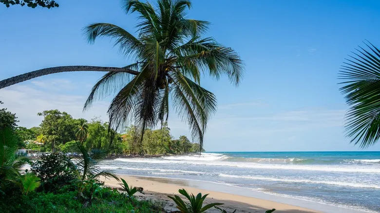 Playas Secretas de Costa Rica: Escapadas Paradisiacas Lejos del Bullicio Turístico