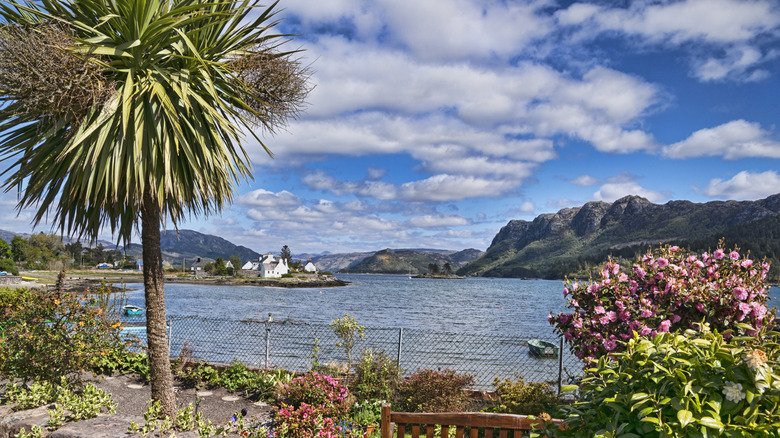Plockton, Escocia: Explorando la Joya Escondida de las Tierras Altas y el Lago Carron