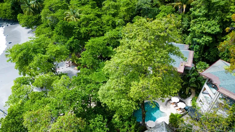 Rainmaker Park: Biodiversidad Exuberante y Aventura en el Corazón de Costa Rica