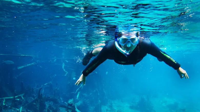 Recanto Ecológico Rio da Prata: Guía Definitiva para el Ecoturismo y Snorkel en Bonito, Brasil