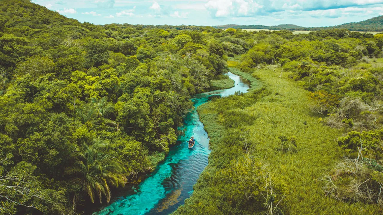 Río Sucuri en Bonito, Brasil: Sumérgete en un Acuario Natural para Snorkeling
