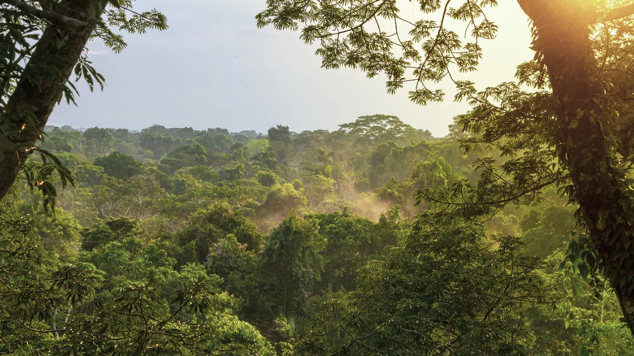 Río Zábalo, Ecuador: El Primer Parque de Silencio Natural Salvaje del Mundo en la Amazonía