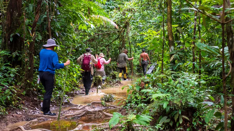 Río Zábalo, Ecuador: El Primer Parque de Silencio Natural Salvaje del Mundo en la Amazonía