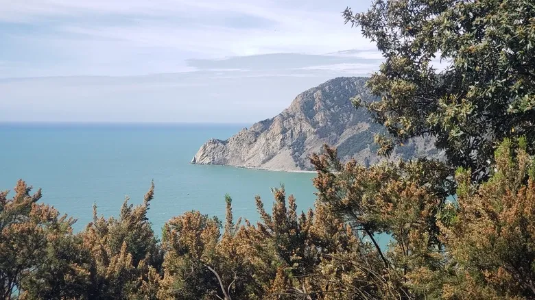 Riomaggiore: La Joya Colorida de Cinque Terre - Guía Completa de Viaje y Exploración