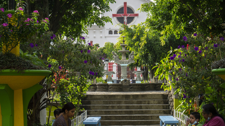 Ruta de las Flores El Salvador: Guía Completa para un Viaje Inolvidable por Centroamérica