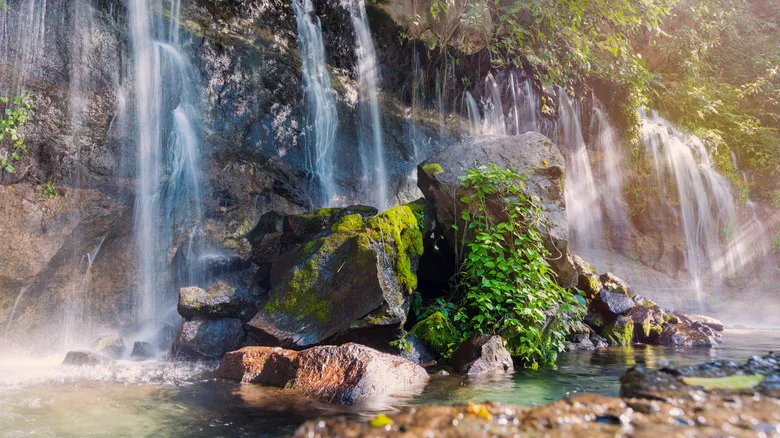 Ruta de las Flores El Salvador: Guía Completa para un Viaje Inolvidable por Centroamérica