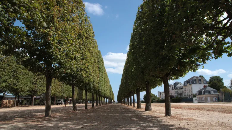 Saint-Germain-en-Laye: Un Escape Emblemático Cerca de París con Historia y Encanto Real