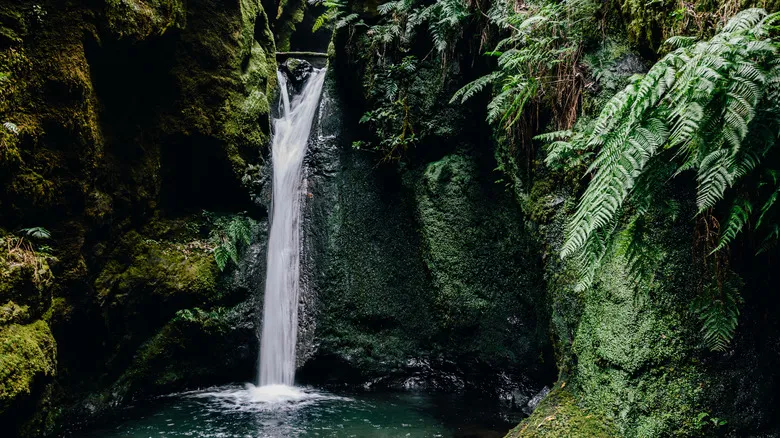 Santana, Madeira: Un Destino Evergreen de Cuento y Aventura Natural