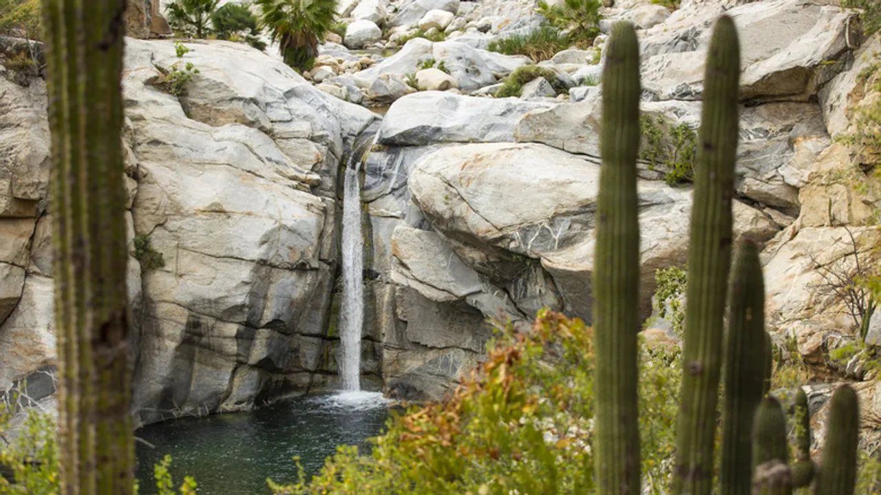 Santiago, Baja California Sur: Oasis Escondido de Manantiales Termales y Naturaleza Viva