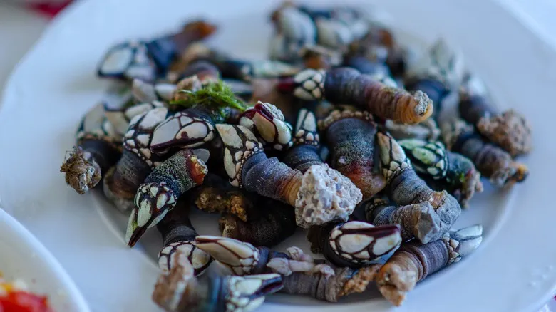 Sanxenxo: Descubre la Perla de Galicia, sus Playas Bandera Azul y Exquisita Gastronomía