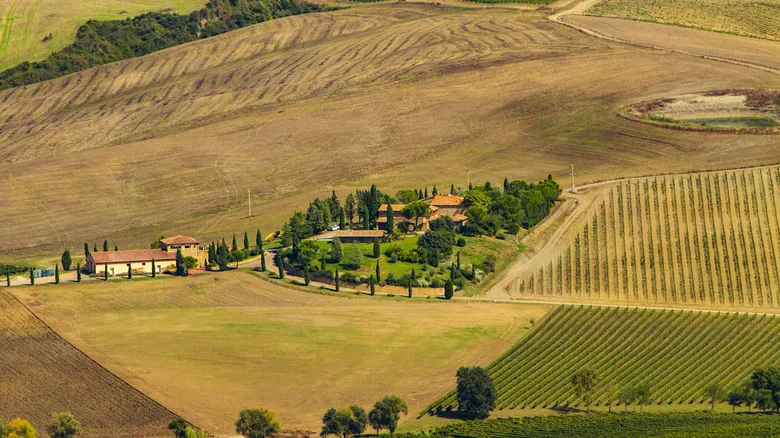 Sarteano: El Tesoro Oculto de la Toscana, Entre Historia Etrusca y Vinos Exquisitos