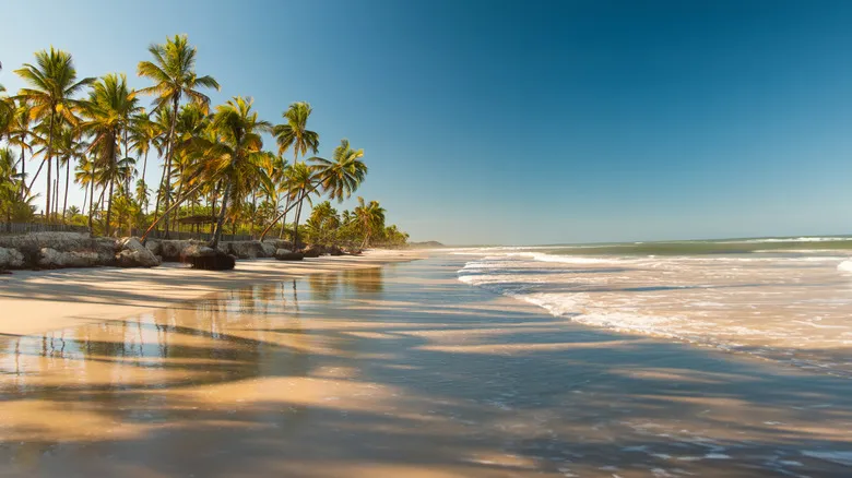 Seguridad para Viajeras en Brasil: Guía Esencial y Precauciones para una Exploración Consciente