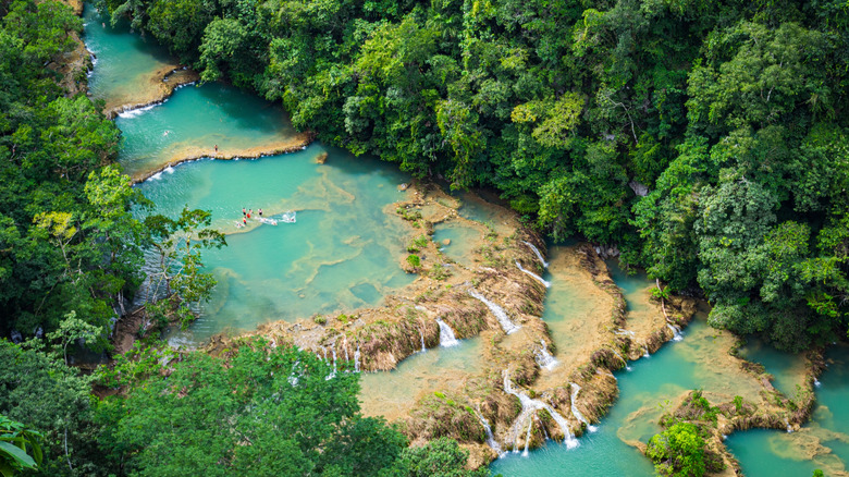 Semuc Champey, Guatemala: Guía Completa del Paraíso Natural y Piscinas Turquesas
