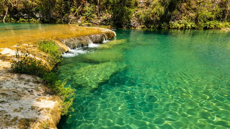 Semuc Champey, Guatemala: Guía Completa del Paraíso Natural y Piscinas Turquesas