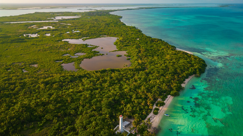 Sian Ka'an: Un Santuario de Biodiversidad y Aventura en la Riviera Maya