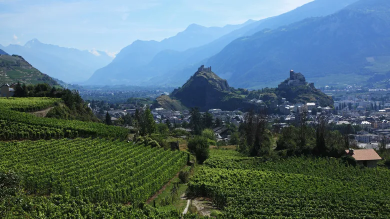 Sion, Suiza: Un Encanto Atemporal entre Castillos, Viñedos y Sabores Alpinos
