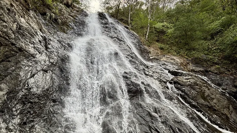 Tamarindo, Costa Rica: Guía Definitiva para una Experiencia de Playa y Aventura Inolvidable