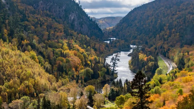 Tour en Tren del Cañón Agawa: Una Aventura Escénica Inolvidable en el Otoño Canadiense