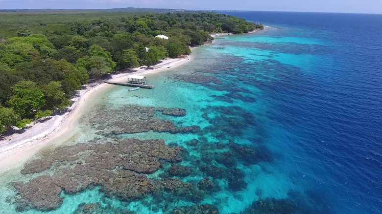 Utila: Descubre la Aventura Submarina Asequible en el Caribe Hondureño