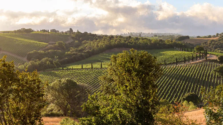 Val d&#x27;Orcia: Descubre el Tesoro Escondido de la Toscana, Paisaje UNESCO y Sabores Ancestrales