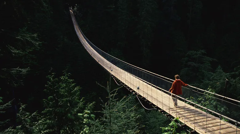 Vancouver para el Viajero Solo: Una Guía Completa de Seguridad y Aventuras