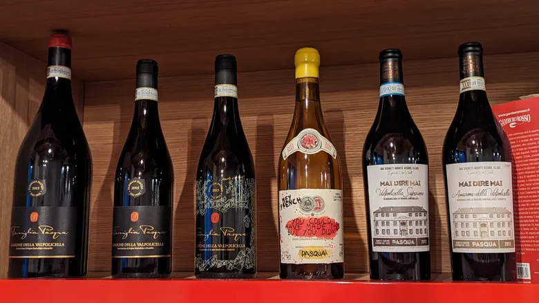 Verona: Donde el Amor y el Vino Se Unen – Crea Tu Propio Blend en Bodega Pasqua