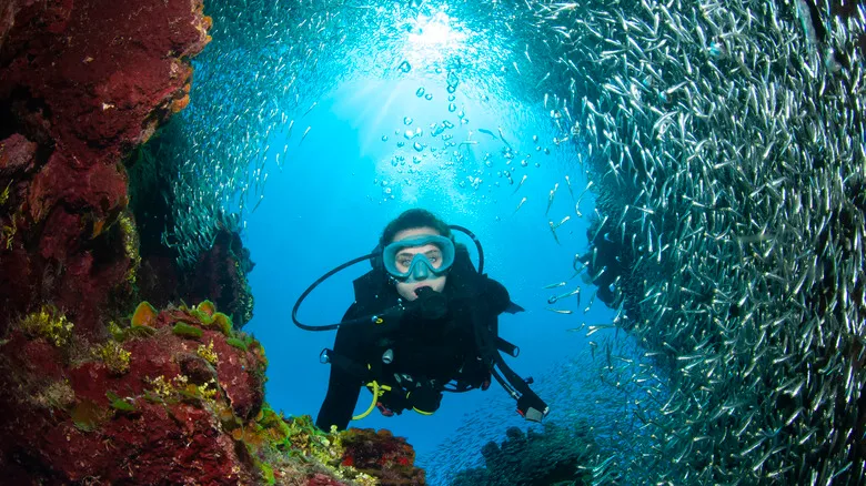 Viajar Sola: ¿Caribe o Centroamérica? La Guía Definitiva para Mujeres Aventureras