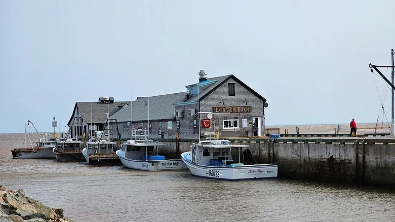 Victoria-by-the-Sea: Un Tesoro Histórico y Artístico en la Isla del Príncipe Eduardo