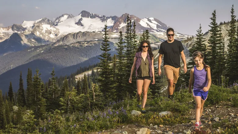 Whistler Blackcomb: Descubre el Resort de Esquí Más Grande de Norteamérica y su Magia Todo el Año