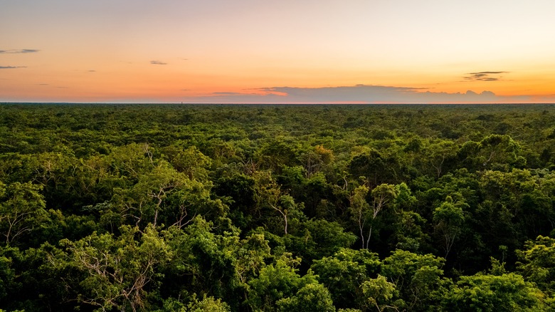 Xplor: Aventura Inolvidable en la Península de Yucatán - Guía Completa